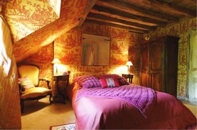 Chambres D'Hotes Le Mousseau Chaumont (Haute-Marne) Room photo